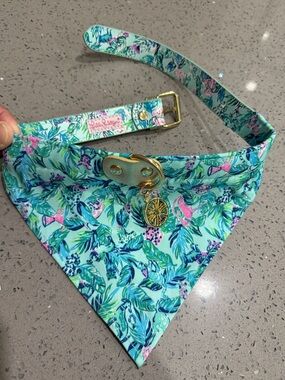 Lilly Pulitzer Mint & Pink Tropical Pet Bandana Collar with Gold Charm